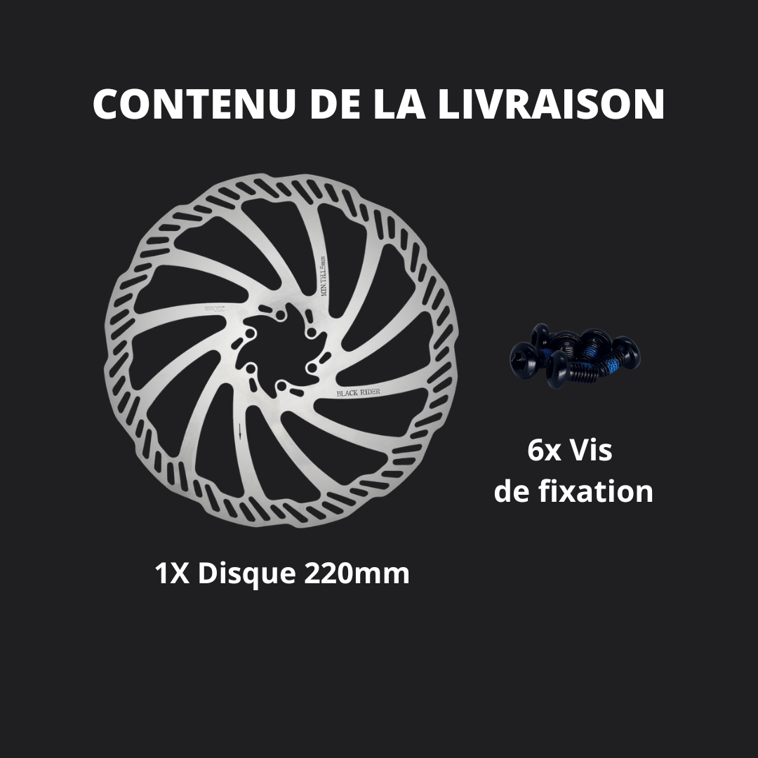 DISQUE 220mm 6 Trous 2,00mm