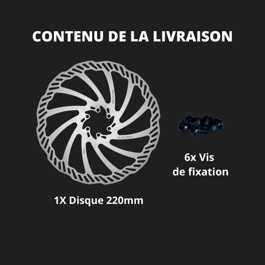 DISQUE 220mm 6 Trous 2,00mm