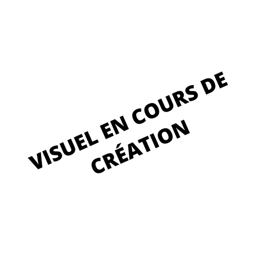 VISUELENCOURS_2e4d6280-e098-4c3c-b922-b8fd0a0ad1e9